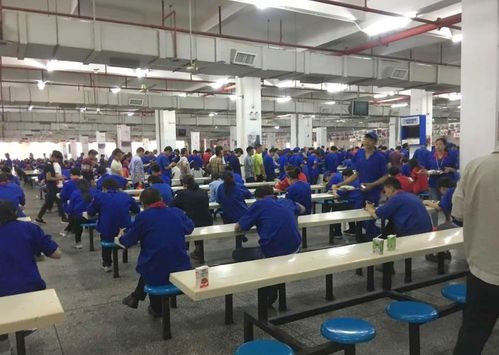 月薪八千背后的深圳奮斗觀(guān) 事業(yè)為上，婚戀?gòu)膶? />
</span>
<span id=